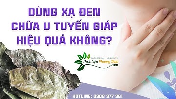 Cây xạ đen chữa u tuyến giáp được không? Cách dùng xạ đen làm teo khối u | Dược Liệu Phương Thảo