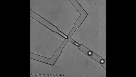 Cells encapsulation in microdroplets