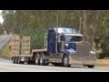 Australian Trucks : Kenworths, Freightliners, Western Stars, and Jake Brakes