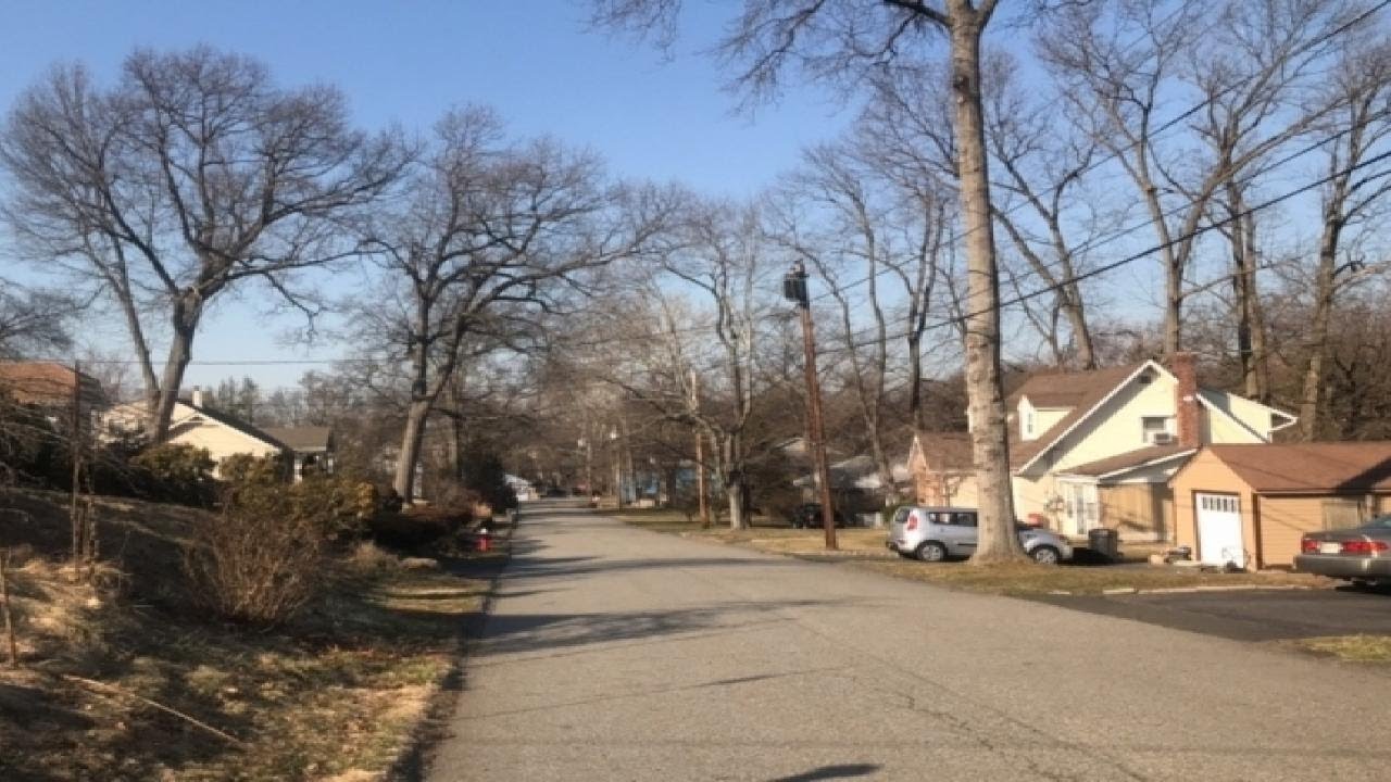 50 Chestnut Ave, Park Ridge Boro, NJ Presented by Marie Kahvajian. YouTube