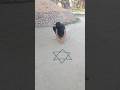 Kancha Se Banaye Hai Star Short Shortvideo Youtubeshorts Kancha Trending Shortvideoviral