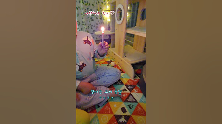 아들들과 입양100일기념 #유기묘#길냥이#집냥이되다#cat#입양#축하#케익#파티#고양이