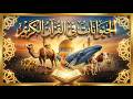 هل تعرف كم حيوان ذكر في القرآن