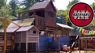 coop chicken bama farm