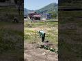 Vivir en el Japón rural NO es tan fácil como crees