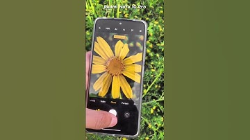 Test Super Macro Camera - Redmi Note 10 Pro