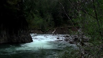 BARK FOREST WATCH: Culverts and the Rivers