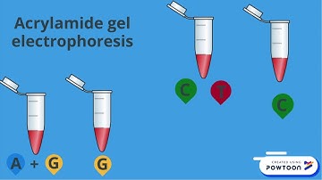 Gilbert and Maxam Sequencing Method
