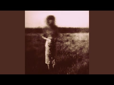 Ver SOFT TRACE no YouTube Ver SOFT TRACE no YouTube