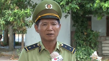 Chuyên mục QLTT tháng 6/2016 Chi cục Quản lý thị trường Nghệ An