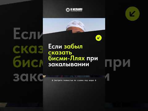 264. Если забыл сказать бисми-Ллях при закалывании #Shorts Ринат Абу Мухаммад