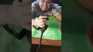 Bañando A Mi Bb Rene