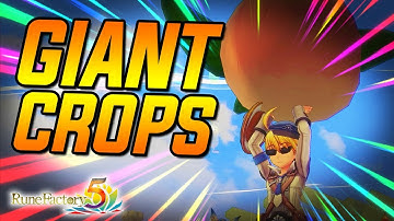 RUNE FACTORY 5 GUIDE: How to Farm/Grow/Harvest Giant Crops