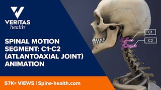 Spinal Motion Segment: C1-C2 (Atlantoaxial Joint) Animation