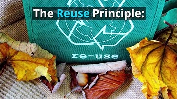 User Interface (UI) Design Principles