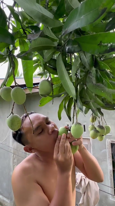 Eating Young Mangoes