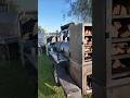 Lets cater a on site Wedding! #bbq #barbeque #barbecue #brisket #meat #food #smoker #burntends #ditl