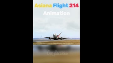 Planes Crashes Animation vs Real 😭 ✈️ #shorts #aviation #aviationedit #sad #avgeek #planecrashes 