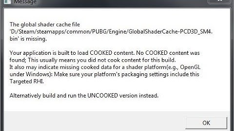🚩 Global shader cache file is missing
