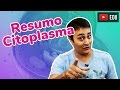 Organelas Citoplasmáticas | JubiResumo | Prof. Paulo Jubilut