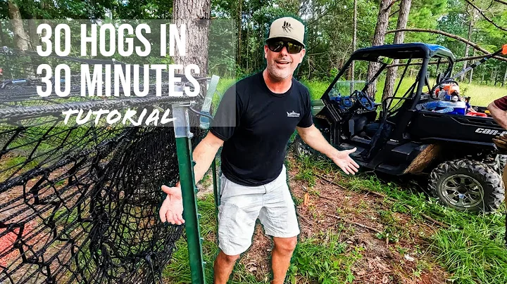 How to trap 30 feral hogs in 30 minutes. Pig Brig tutorial.