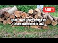Timber from Deforestation: Not a Smart Investment in 2026 | Part 1