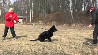 Chasko Z Milberku Obrany - 6 Mesicu.wmv