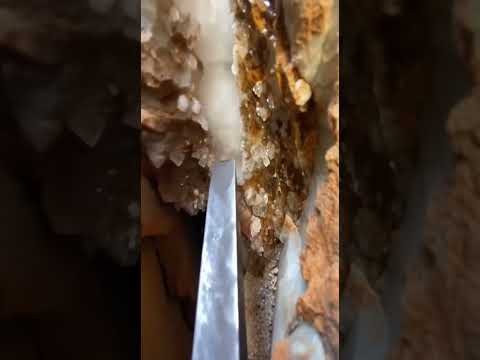 شکل ظاهری رگه طلادار اپی ترمال     طلا آموزش 