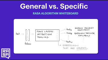 Rasa Algorithm Whiteboard - General Embeddings vs. Specific Problems