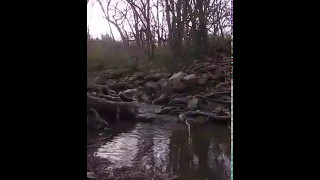 Introducing Chester H. 'How to hike' Episode 1.