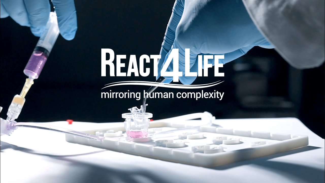 React4life - Overview