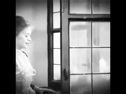 هاذ الهوا من عدهم يحمل طيور حبابي