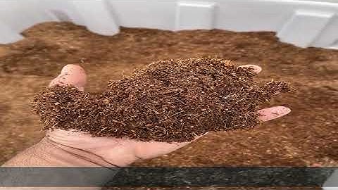 ReptiEarth Fine Coconut Fiber Substrate, Fluffy Small-Strand Reptile Substrate and Snake Bedding fo