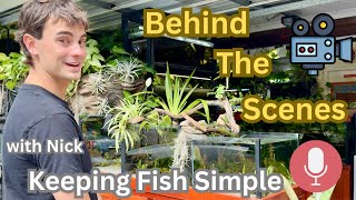 Download Lagu Nick from Keeping Fish Simple Visits Adrian’s Fishroom Behind the Scenes + Waterfall River Tank Tour MP3 Download Lagu Nick from Keeping Fish Simple Visits Adrian’s Fishroom Behind the Scenes + Waterfall River Tank Tour MP3