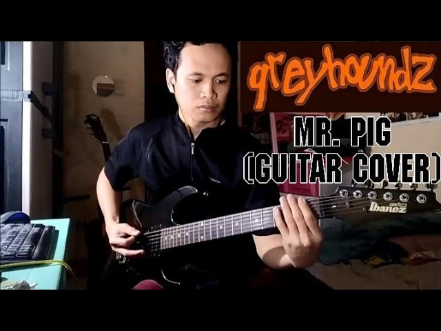 Greyhoundz - Mr. PIG (Guitar Cover)