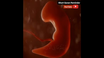 سوره لقمان آیه 34 | اسلام صبحی
