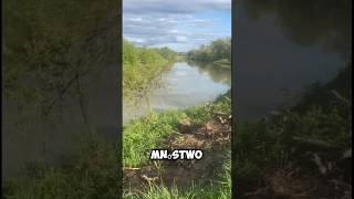 Czemu na rzece nie ma Ryb 🤔😱 #fishing #xd #k4rol #short