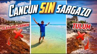 PLAYAS SIN SARGAZO 🏖️✅ | CANCUN 🇲🇽 8 DE ABRIL DEL 2026🚨