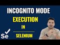 How to run selenium tests in incognito mode