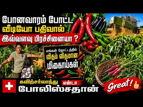 போனவாரம் போட்ட வீடியோ பதிவால் இவ்வளவு பிரச்சினையா ? எங்கள் தோட்டத்தில் விதம் விதமான பொலிஸ்தான்