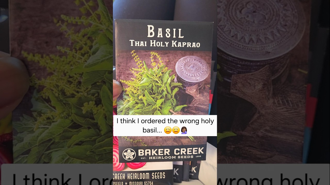 Let the games begin!! 😁😁 | 