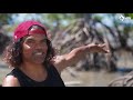 Sean choolburra shares creation stories of girramay country in queensland   nitv news