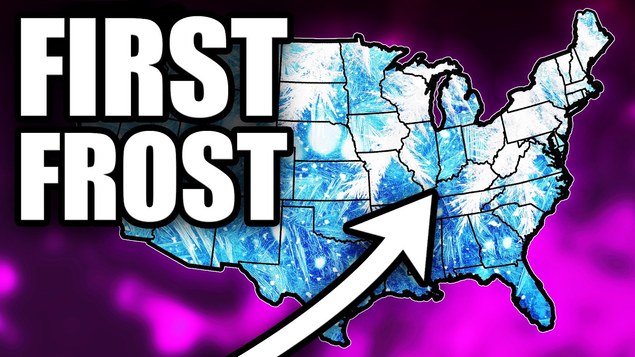 Latest Title & Thumbnail