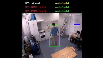 Spatio-Temporal Pyramid Graph Convolutions for Human Action Recognition and Postural Assessment