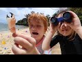 BEACH TREASURE HUNT in Hawaii 👀  Adley & Niko finding eggs, easter candy, and our new Summer Merch!!