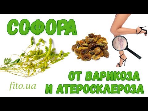 Видео: Софора японска - приложение, рецензии, противопоказания