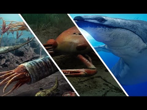 Video: Fossils Of Prehistoric Sea Creatures Have Been Found On Mars - Alternative View