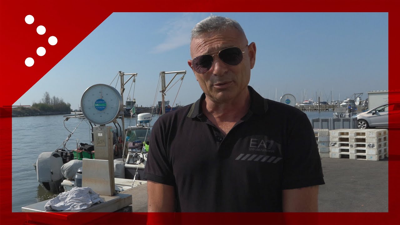 Granchio blu, il presidente di una cooperativa di Goro (Fe): 