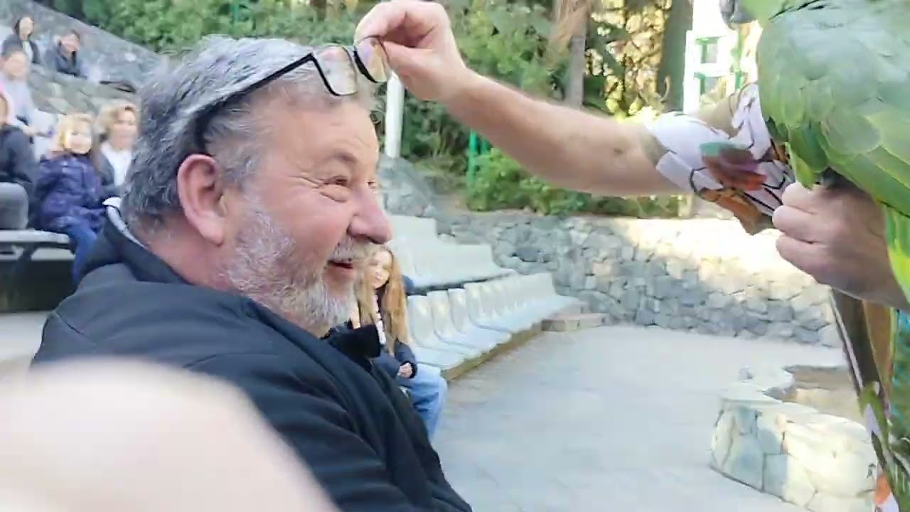 Aves del paraíso, PortAventura