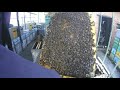 Крушение стереотипов в пчеловодстве.Резерва 6-8 кг мёда в ульях нет,а пчелы бурно развиваются.